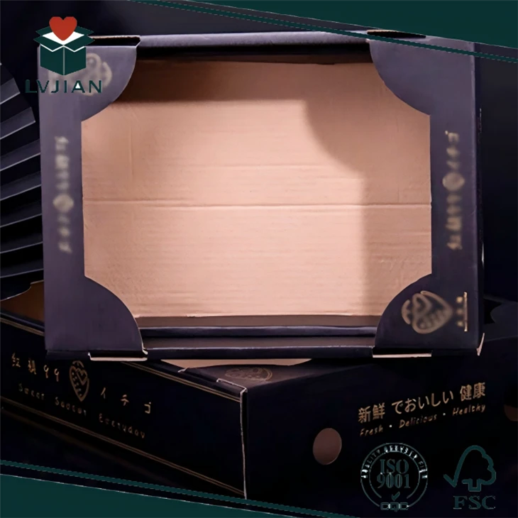 paper carton